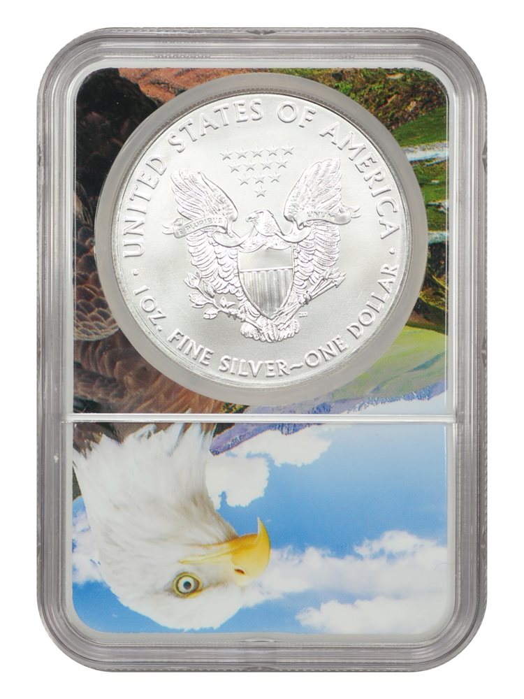 2018 Silver Eagle $1 NGC MS70, MS70 - PCGS Auction Prices