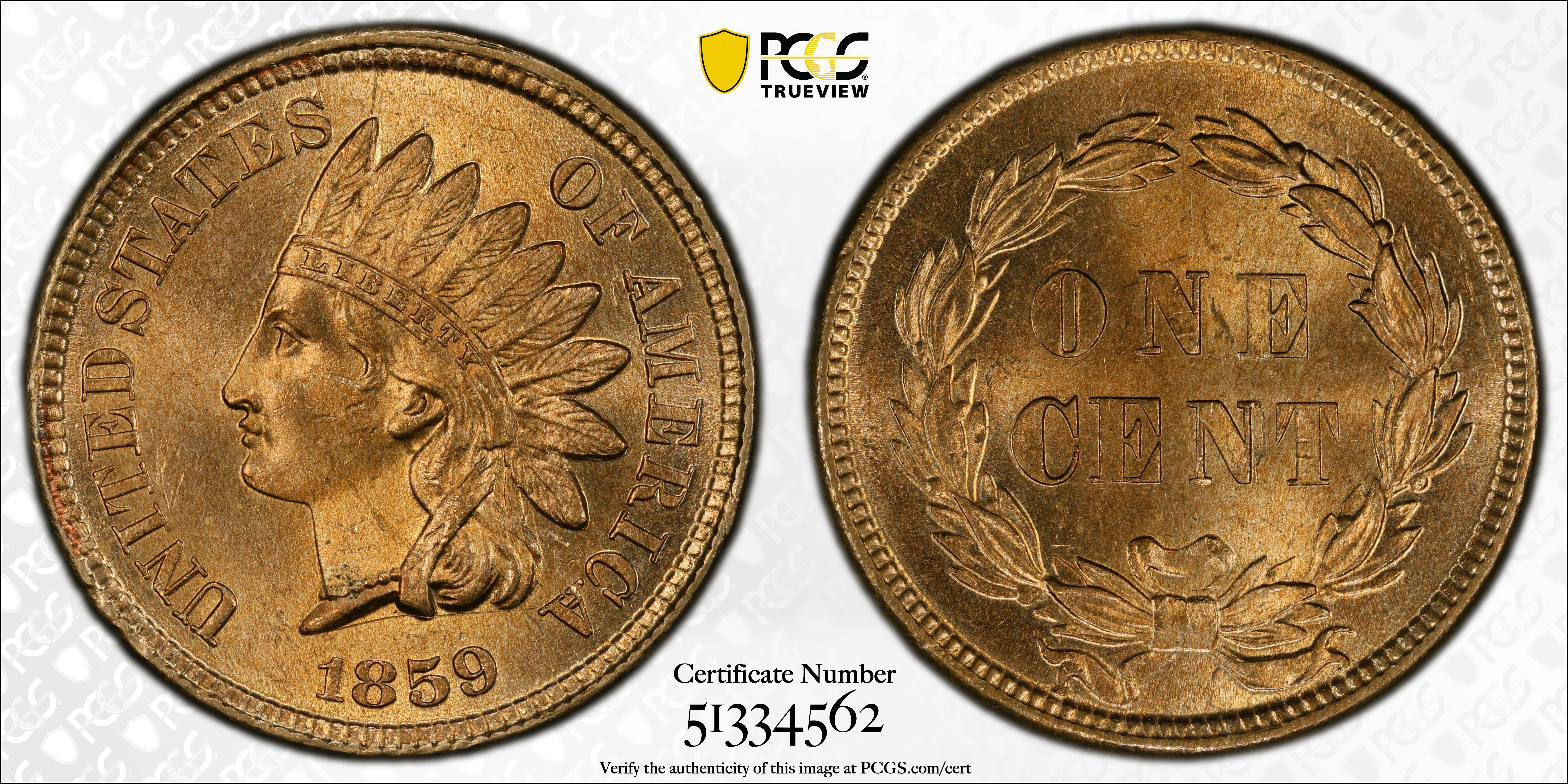1859 Indian Cent. MS-64 (PCGS)., MS64 - PCGS Auction Prices