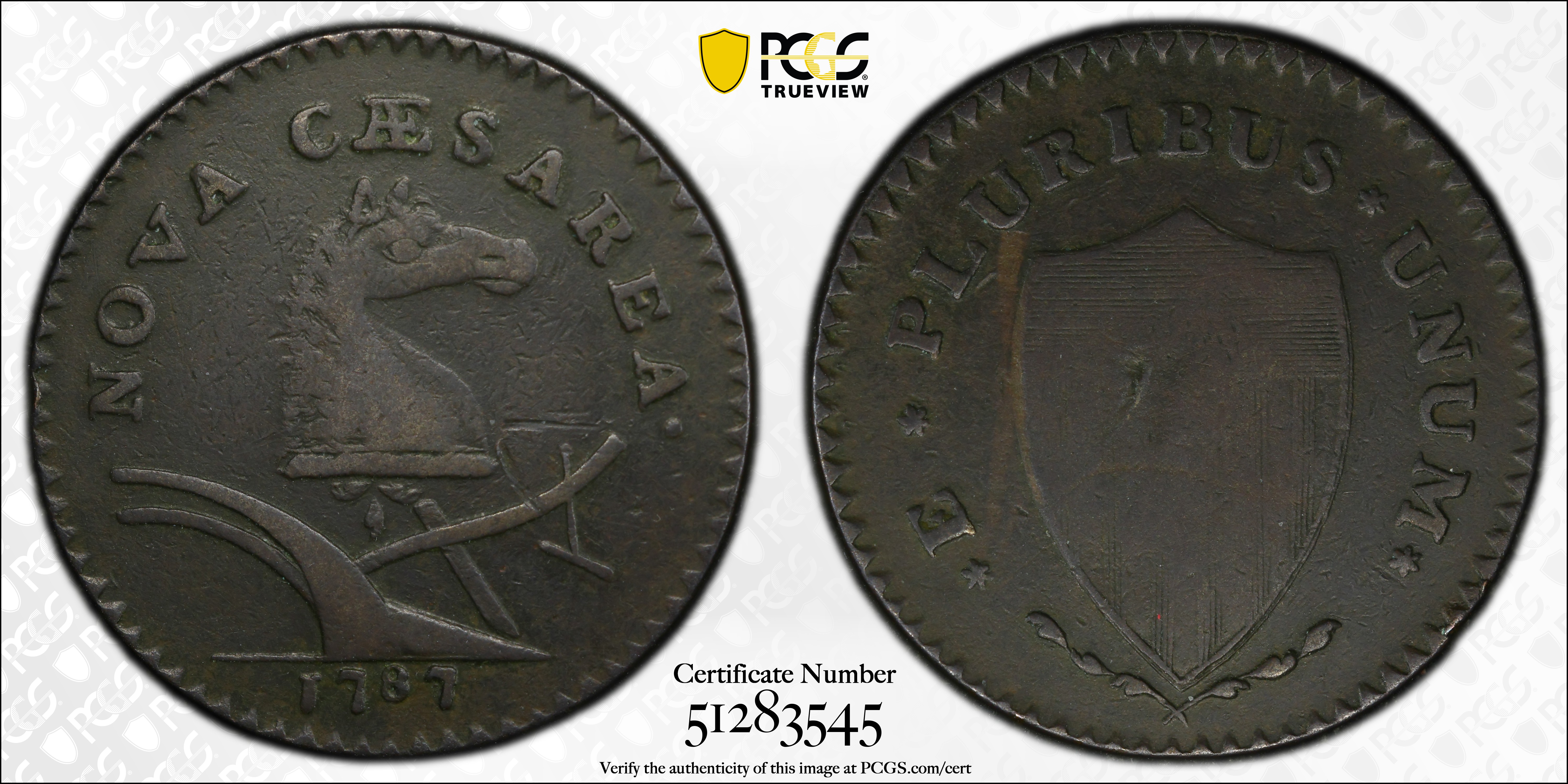 1787 New Jersey Copper. Maris 62-q, W-5350. Rarity-3. Sprig Above